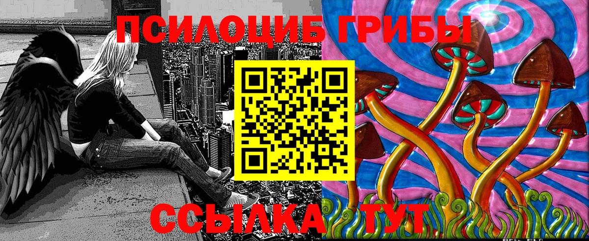 Псилоцибиновые грибы мицелий  Вход с VPN  Псилоцибиновые грибы мухоморы  где можно купить наркотик  Зима 
